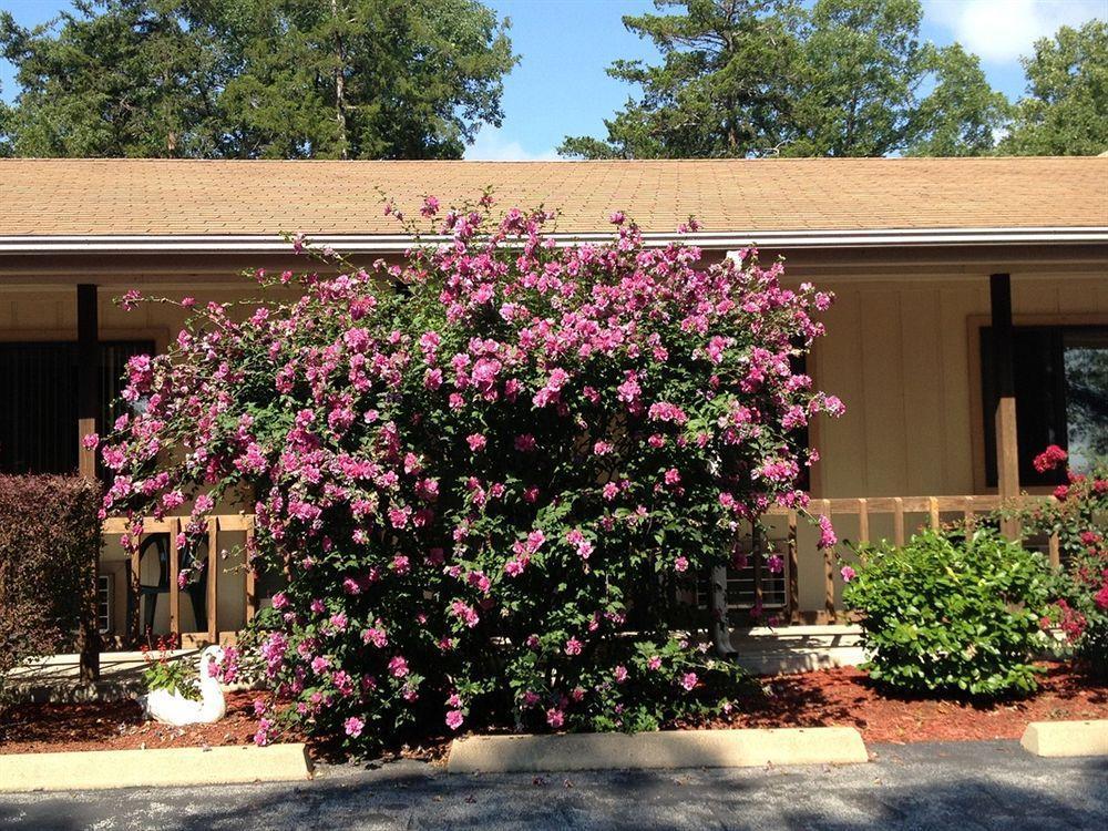 Shady Acre Inn And Suites Branson West Eksteriør billede